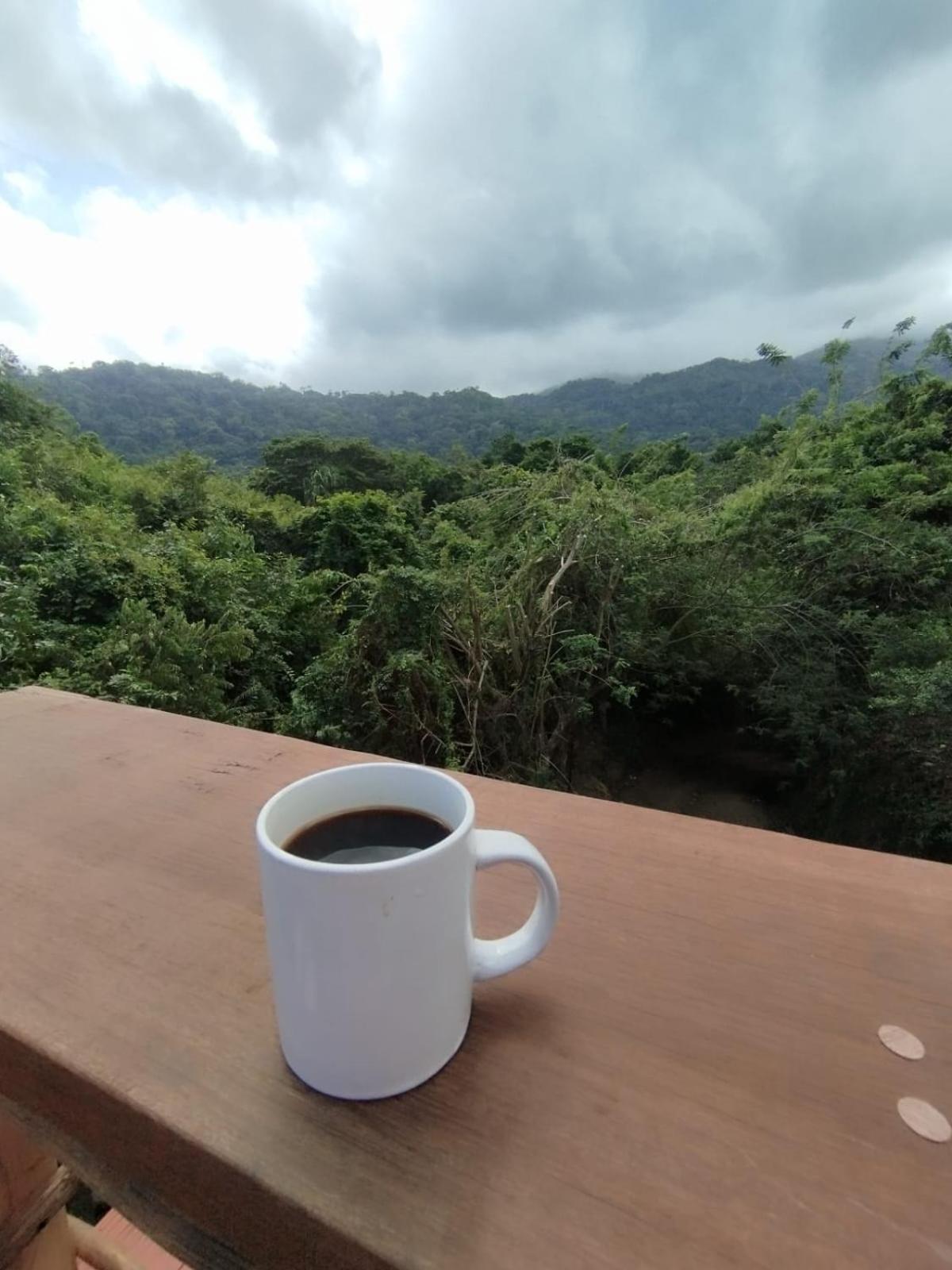 Selva Maria Tayrona'S Hostel ซันตามาร์ตา ภายนอก รูปภาพ